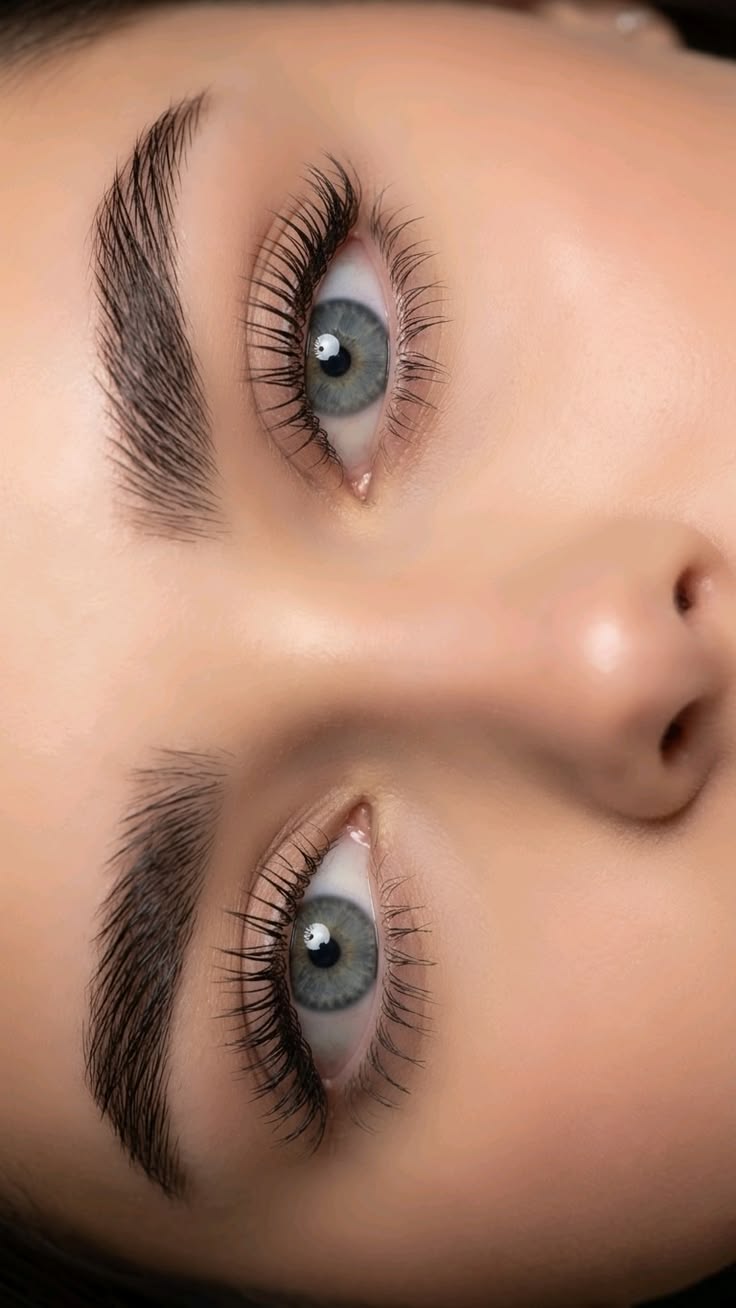 Eyebrows and Lashes